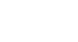 INS
